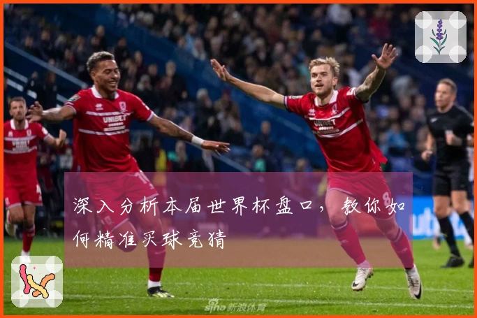 深入分析本届世界杯盘口，教你如何精准买球竞猜