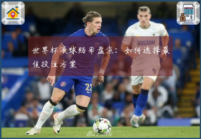 世界杯滚球赔率盘点：如何选择最佳投注方案