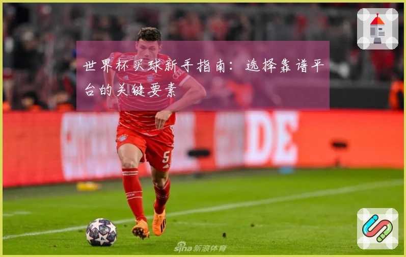 世界杯买球新手指南：选择靠谱平台的关键要素