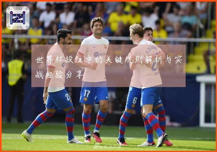 世界杯投注中的关键规则解析与实战经验分享