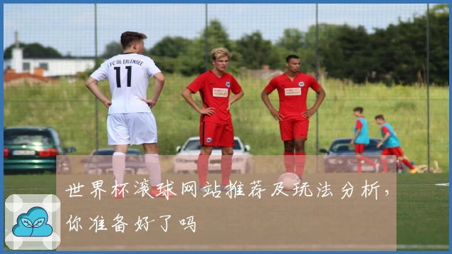 世界杯滚球网站推荐及玩法分析，你准备好了吗
