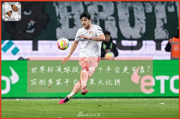 世界杯滚球投注哪个平台更可靠？实测多家平台结果大比拼