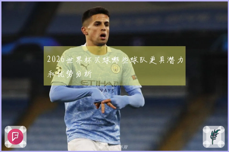 2026世界杯买球哪些球队更具潜力和优势分析