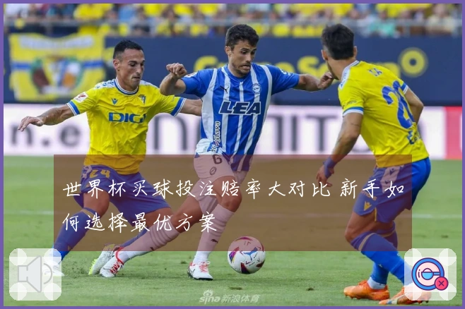 世界杯买球投注赔率大对比 新手如何选择最优方案