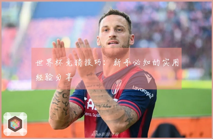 世界杯竞猜技巧：新手必知的实用经验分享