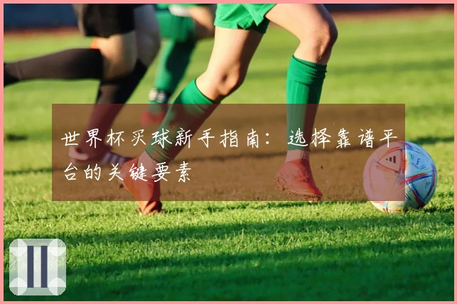世界杯买球新手指南：选择靠谱平台的关键要素