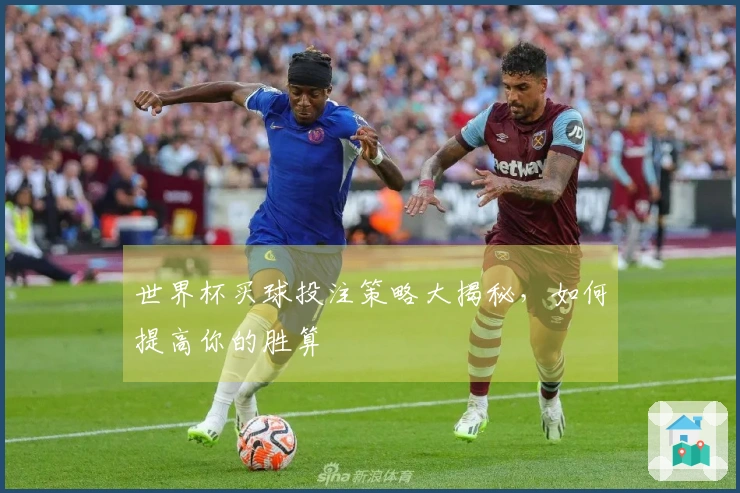 世界杯买球投注策略大揭秘，如何提高你的胜算