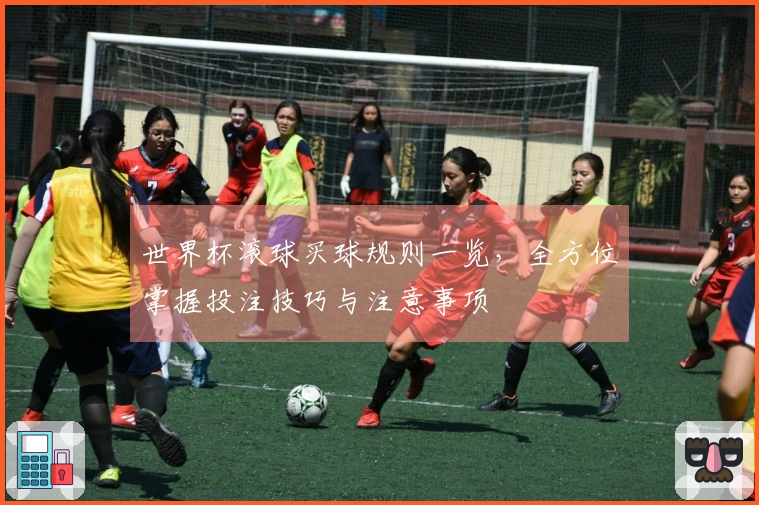 世界杯滚球买球规则一览，全方位掌握投注技巧与注意事项
