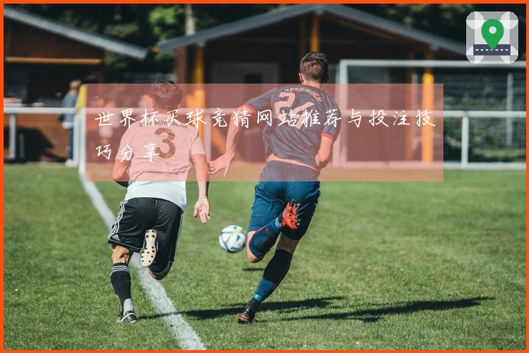 世界杯买球竞猜网站推荐与投注技巧分享