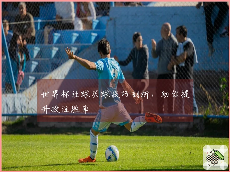 世界杯让球买球技巧剖析，助你提升投注胜率
